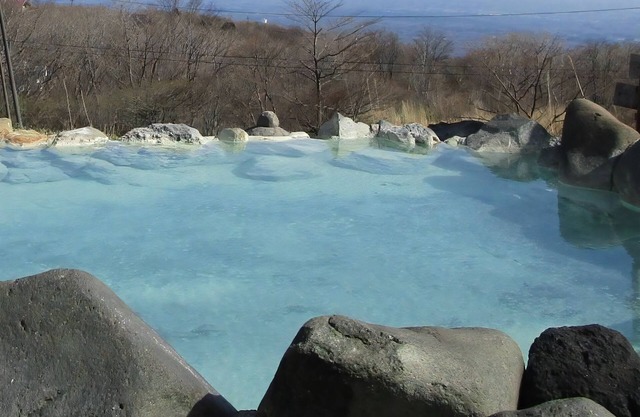YU-FURI NASU-TAKAO ONSEN LODGE