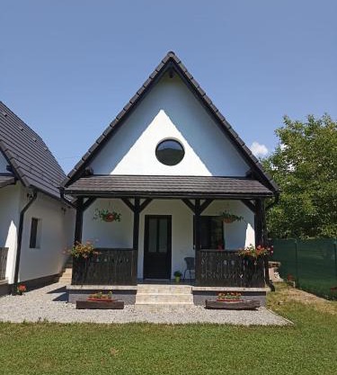 Zöld Tulipán