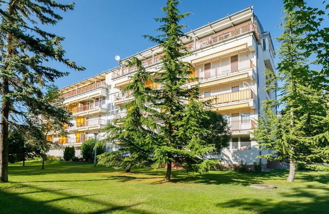 Zamia 2 by Interhome