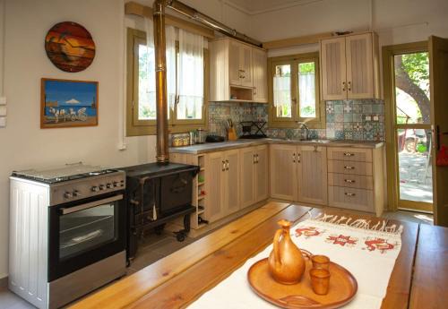 Zygardeli Eco-friendly Home 2025