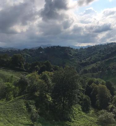 Pazar Villa | Özel Bahçeli Lüx Villa