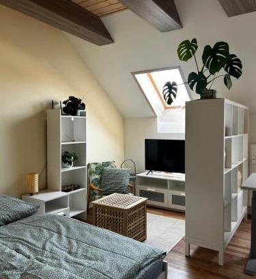 Kezmarok Apartment | Útulný apartmán v centre Kežmarku