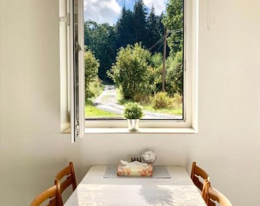 Korenov Apartment | Útulný byt v Jizerských horách -Apartmán Mili