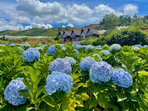 Lac Duong Hotel | Đà Lạt Thiên Vương Homestay