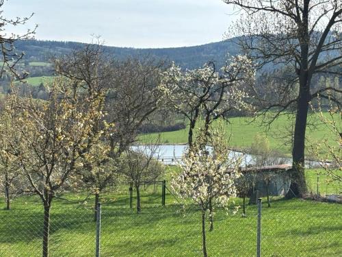 Strasice Apartment | Šumava apartmán U Kočiček