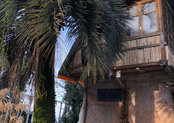 Kobuleti Villa | Деревенский домик,Eco Chakvi