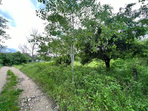 Kazanlak Other | Къмпинг Частен Двор BULGARIAN CAMPSITE for Tents