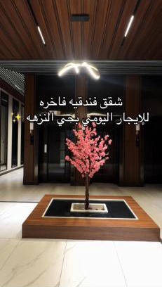 Al-Hamra'a Apartment | جدة حي النزهة