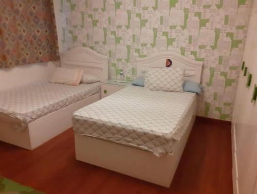 Kafr el Shaikh Apartment | شقه city