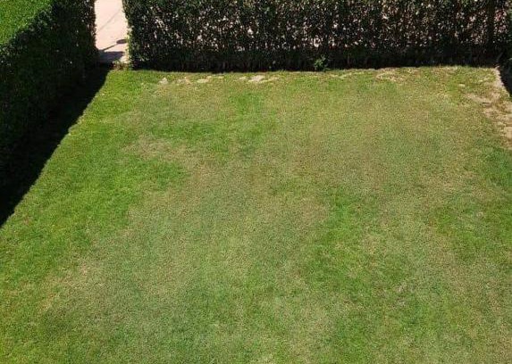 Al-'Amriyah Villa | مارسيليا بيتش 3