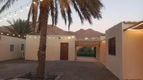 Ash Sharqiyah North Governorate House | مزرعة نحل العسل