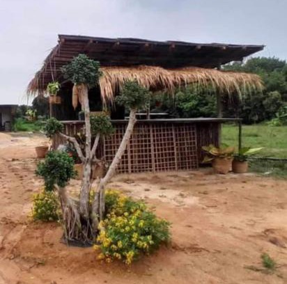 Buriram Other | ทุ่งนากางเต้นท์ Countryside