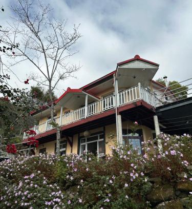 Alishan Bed & Breakfast | 樂野仙蹤