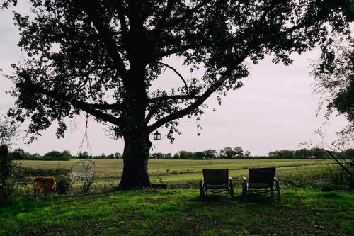 Jemelle House | 1 Bed Tiny House Sleeps 2 -Hot Tub -Coal Fireplace