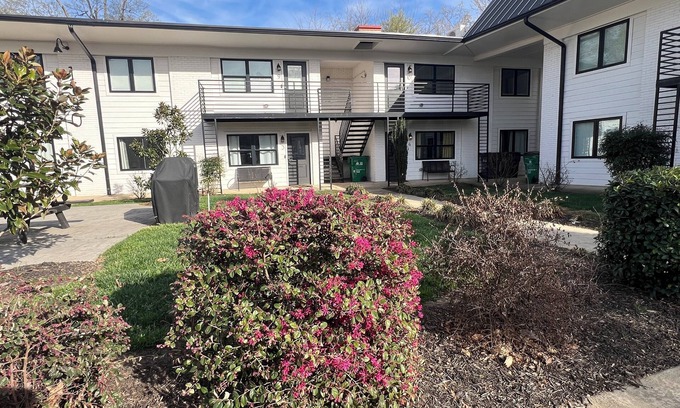 Plaza Midwood Apartment | 1 Bedroom Apt3 very close to Uptown Charlotte and Novant Presbyterian