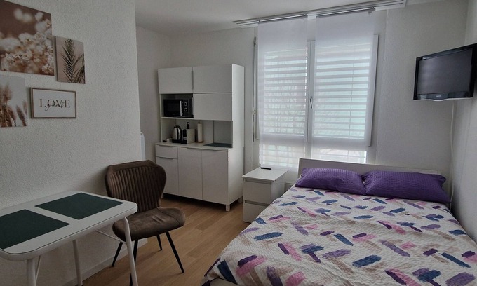 Andelfingen District Apartment | 1 room studio with private bathroom and near the rhein