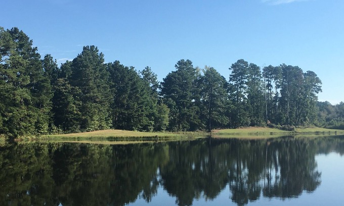 Marshall House | 10% Spring Discount Beautiful Time of Year