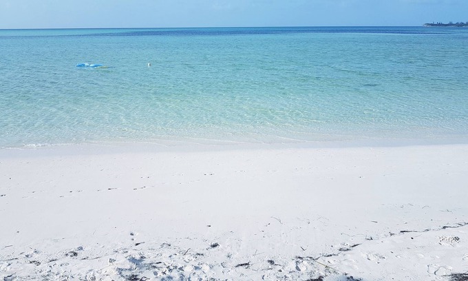 Spanish Wells Apartment | 100ft from the most beautiful beach and crystal clear water, with free golf cart
