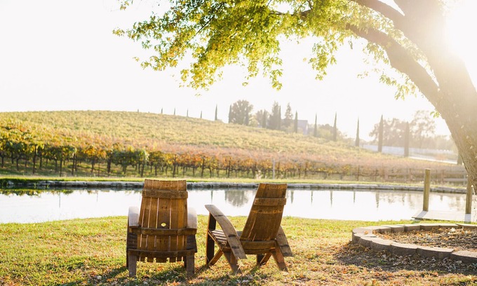 Newcastle House | 1Romantic Suite Private Entrance with a unique View of a vineyard