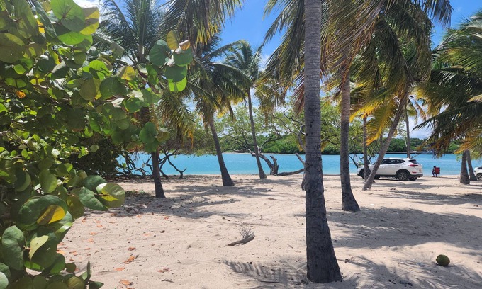 Barahona Apartment | 2-bdrm Penthouse apt, private rooftop with Bay views, AC, WiFi, BBQ, Parking +