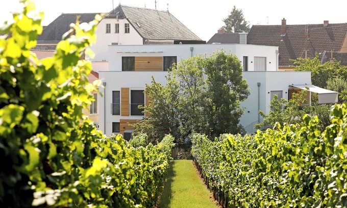 Edenkoben Apartment | 2 holiday apartments equipped with a four-star plus hotel room.