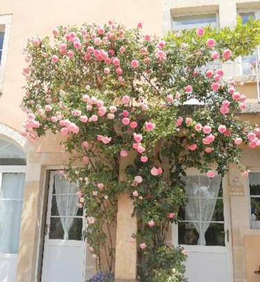 Buffon Bed & Breakfast | 25 m² Bed and breakfast ∙ 3 guests