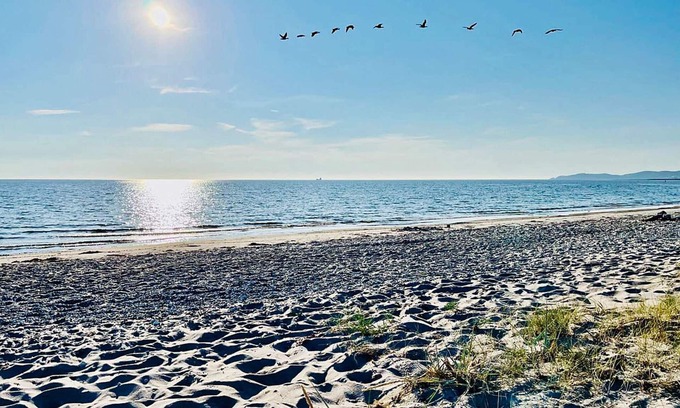 Hoganas House | 4 star holiday home in HÖGANÄS