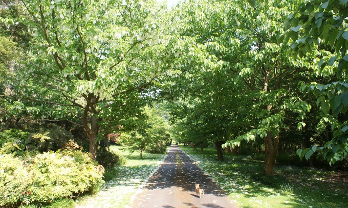 Warnham House | 5 bed property with outdoor pool in 15 acre private garden on edge of a village