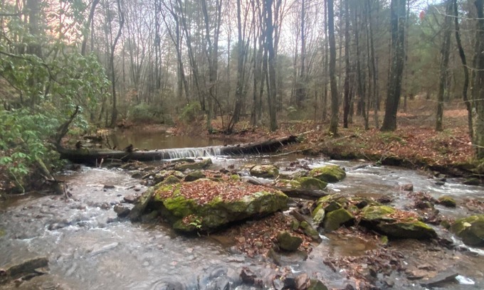 Montebello Cabin | 5 minutes to Blue Ridge Parkway, Crabtree Falls, hiking, wineries, breweries