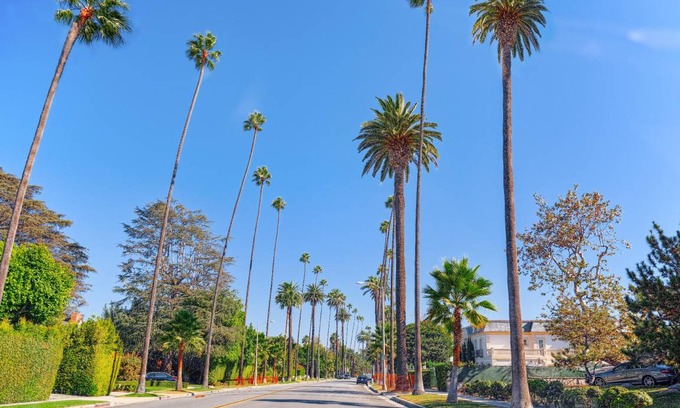 Wilshire Apartment | 66 m² Apartment ∙ 1 bedroom ∙ 4 guests