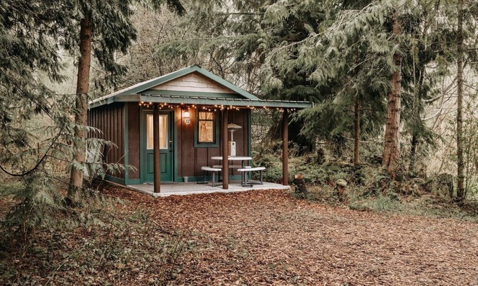 Maple Falls Cabin | 72MF - Rustic - Pets Ok - Sleeps 2 by RedAwning