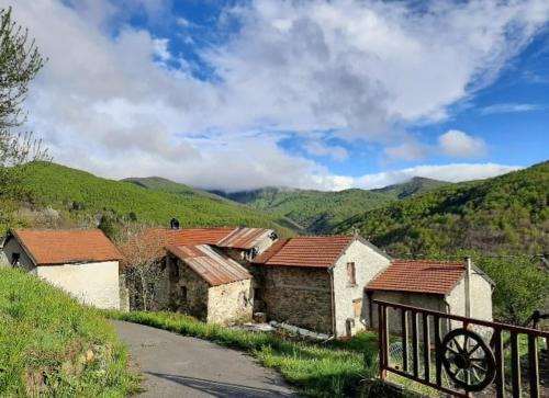 Murialdo House | A 1 passo dal bosco