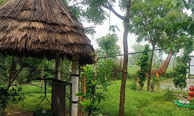 Shri Madhopur Other | A farmhouse stay - Live amidst nature