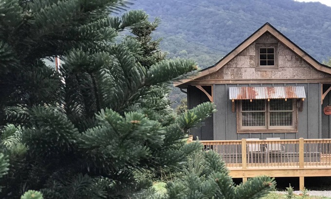 Waynesville Cabin | A hand-crafted cabin built in the middle of a Christmas Tree farm.