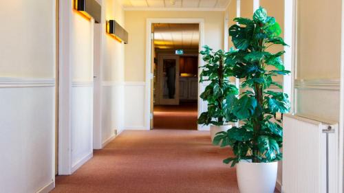 Hedehusene Hotel | A Hotels Roskilde
