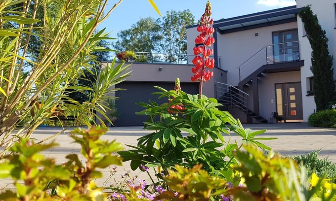 Lampertheim Apartment | A l'Ancien Moulin