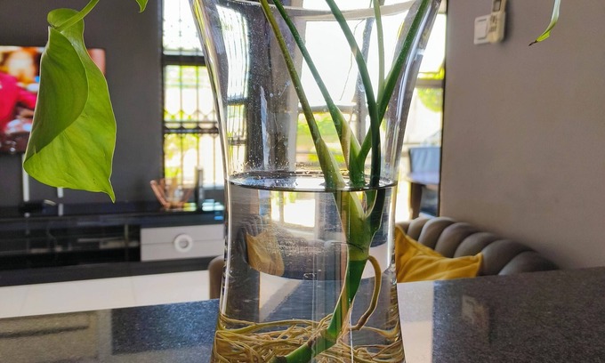 Gaborone House | A Modern home, in the heart of the city, 2 minutes to the biggest shopping mall