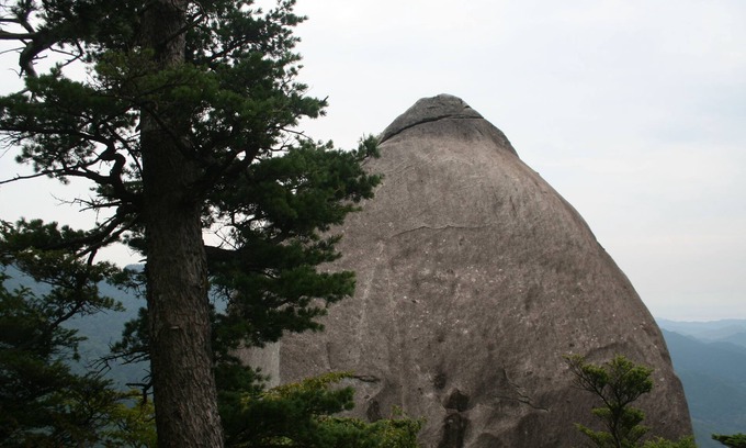 Bungoono House | A quiet space in a rural landscape