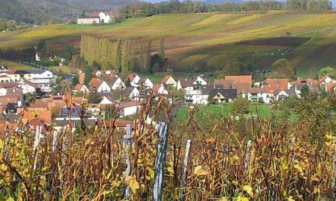 Klingenmuenster Apartment | A sunny spot below Landeck Castle in the middle of the vineyards