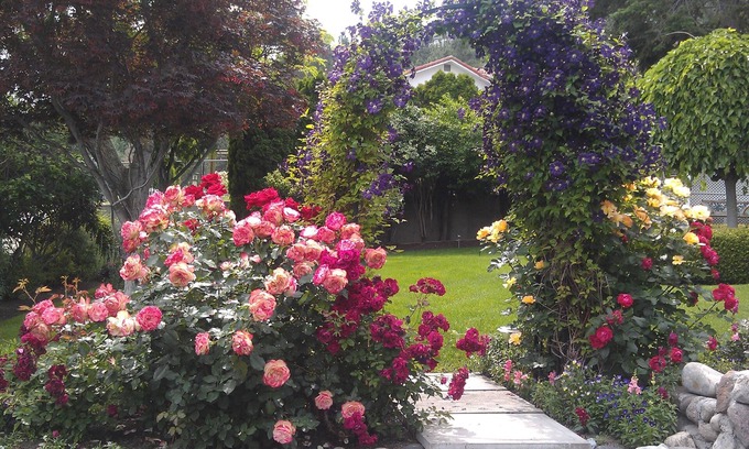 Central Okanagan Bed & Breakfast | A View to Remember Bed & Breakfast