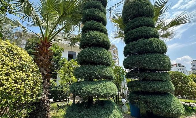 Durres Bed & Breakfast | A.VILA