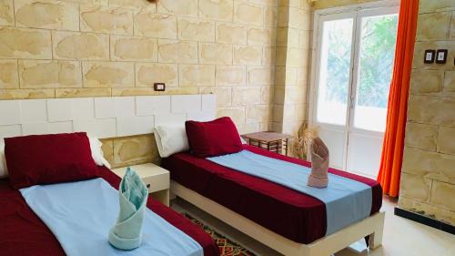 Aswan House | ABU Guest House
