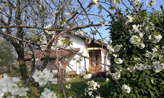 Giaveno House | Accommodation in delightful cottage in Giaveno CIR00111500011 CIN IT001115C286W593TP