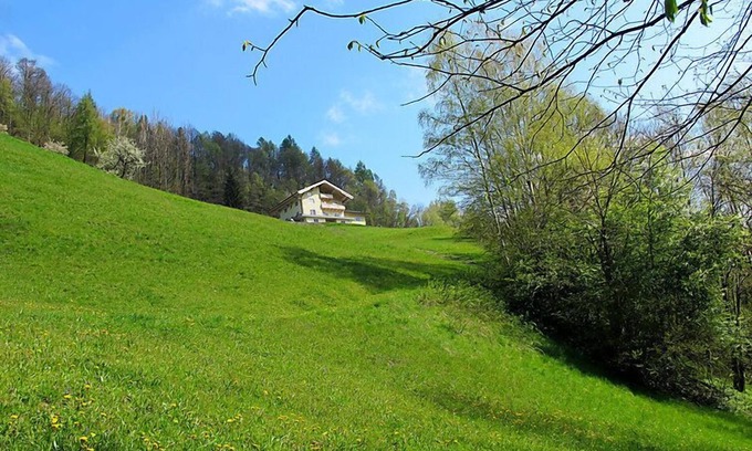 Goldegg Apartment | Achtalgut by Interhome