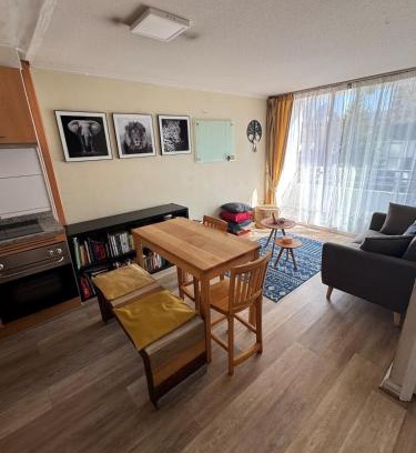 Providencia Apartment | Acogedor, luminoso e insuperable ubicación
