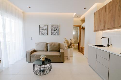 Psalidi Apartment | Aelia Prime Experience 1