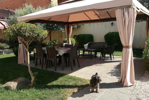 Nurachi Apartment | Affitacamere/Domo - Mari e Luci