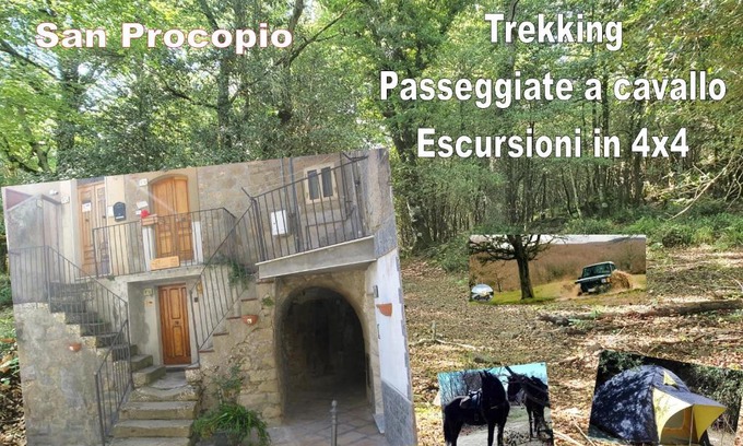 Troina House | affitta camere San Procopio