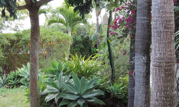 Ravine des Cabris House | Agreable Maison a 5 min de Saint Pierre
