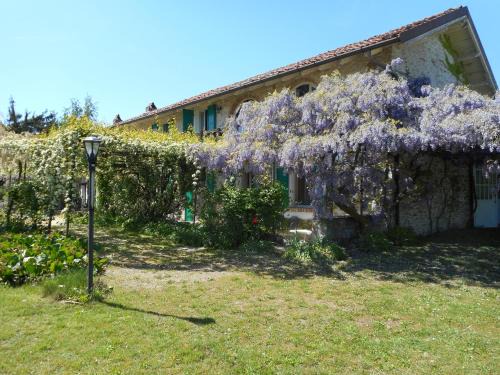 Mango House | Agriturismo Cascina Serra